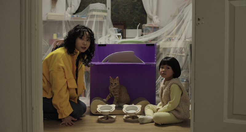 영화 <고양이키스: 당신에게 마음을 여는 순간> 스틸컷 이미지4