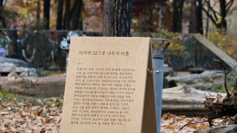 영화 <콘크리트 녹색섬> 스틸컷 이미지3