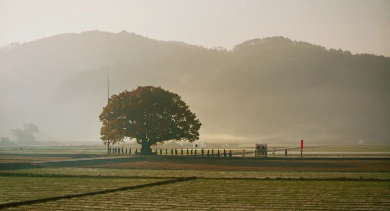 영화 <장손> 스틸컷 이미지