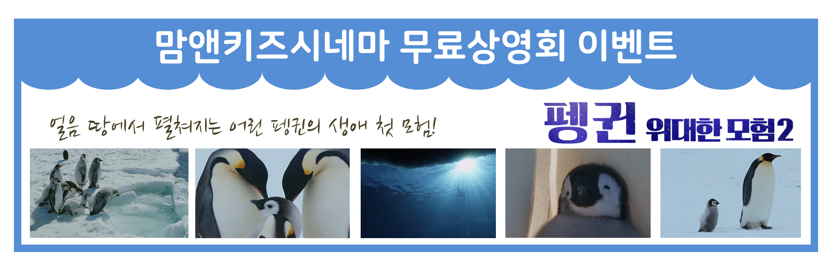 맘앤키즈시네마 무료상영회 이벤트 어름땅에서 펼쳐지는 어린 펭귄의 생애 첫 모험! 펭귄 위대한 모험2