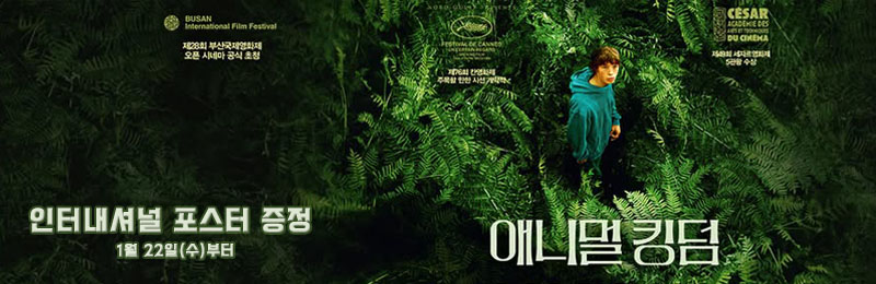 애니멀 킹덤 인터내셔널 포스터 증정 1월 22일(수)부터
