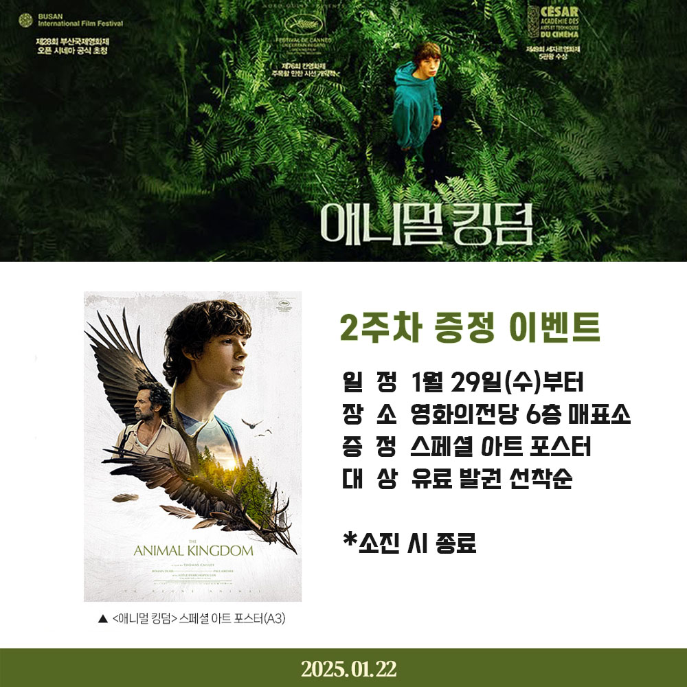 애니멀 킹덤 2주차 증정 이벤트 일정 1월 29일(수)부터 장소 영화의전당 6층 매표소 증정 스페셜 아트 포스터 대상 유료 발권 선착순 *소진 시 종료