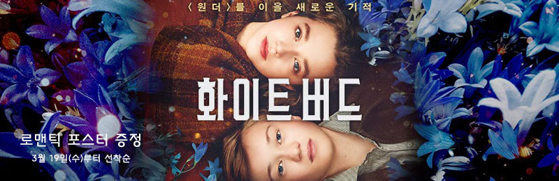 화이트 버드 로맨틱 포스터 증정 3월 19일(수)부터 선착순