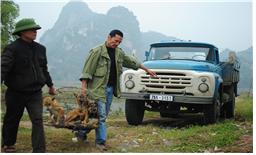 [BISFF] 본선경쟁 15 스틸 컷