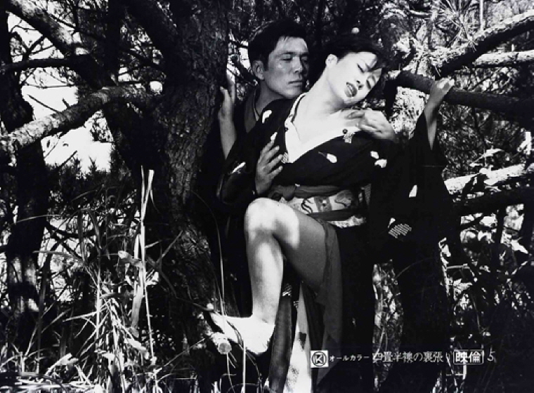 게이샤의 세계 스틸 컷