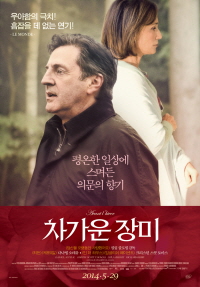 차가운 장미 포스터 이미지