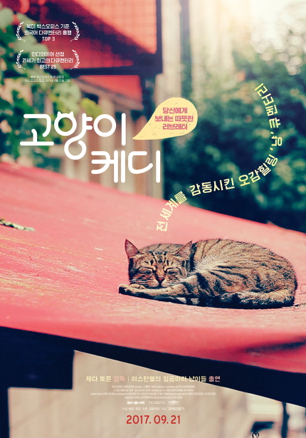 고양이 케디 당신에게 보내는 따뜻한 러브레터 전 세계를 감동시킨 오감힐링 냥큐멘터리 2017 .09. 21
