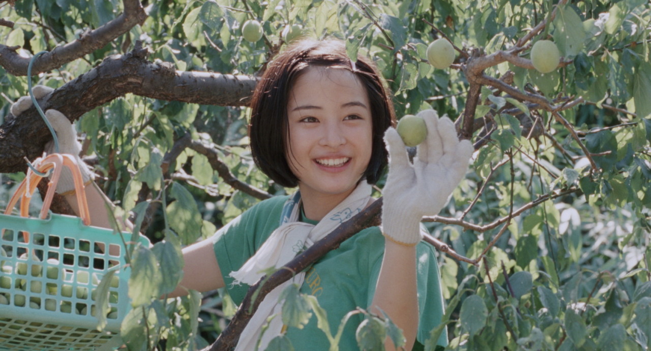 <바닷마을 다이어리> 스틸사진 3